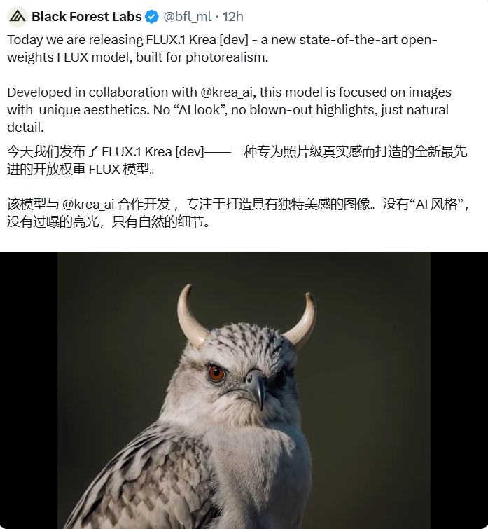 Black Forest Labs与Krea推出开源FLUX.1-Krea[dev] 解决AI图像人工痕迹问题