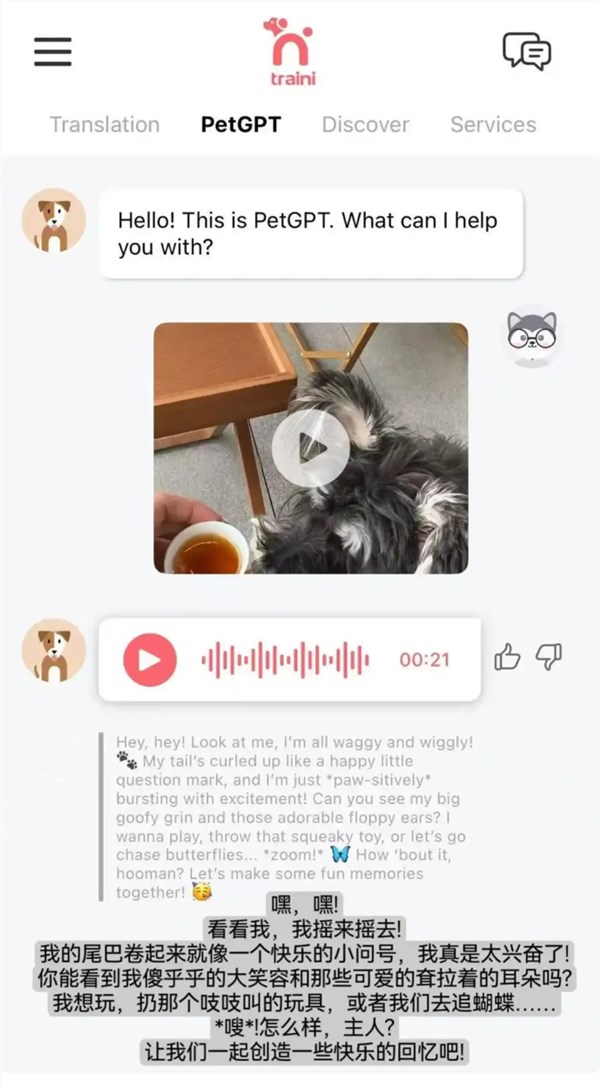 AI宠物语言翻译软件Traini问世 可检测12种犬类情绪促跨物种交流