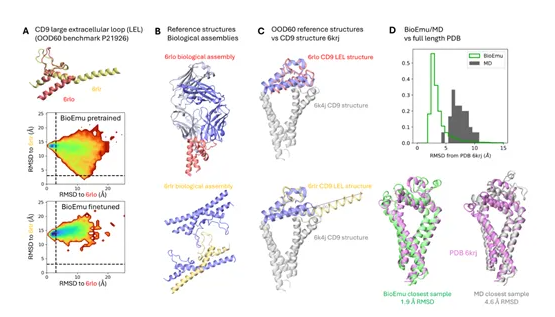 微软BioEmu模型突破蛋白质动态模拟 成果登《自然》引关注