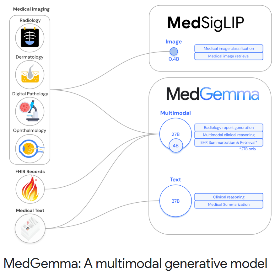 HAI-DEF发布MedGemma与MedSigLIP 强力支援医疗AI开发
