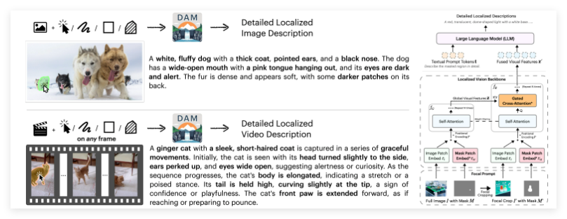 NVIDIA DAM-3B：局所图像视频描述新突破 开源助力多领域应用