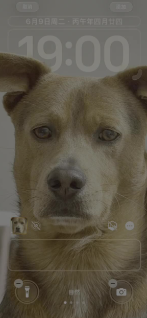 image.png image.png