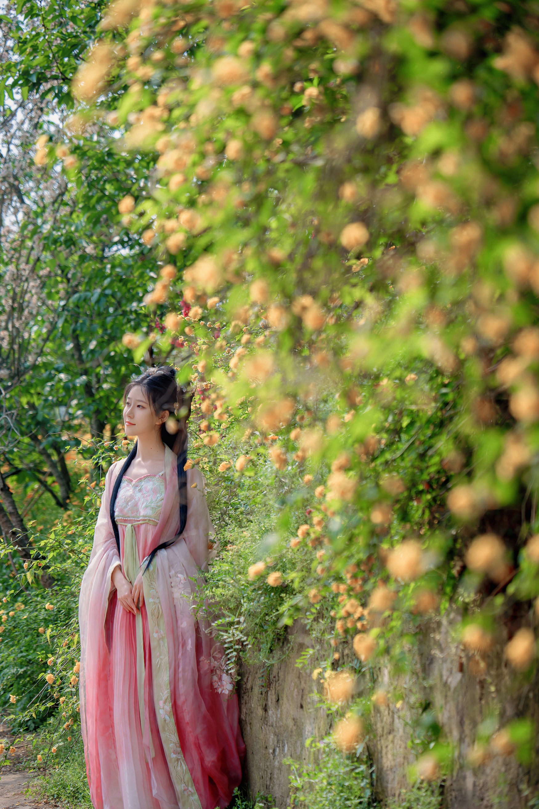 花间仙子踏春归,粉纱轻舞映芳菲。古韵风华倾城色,一颦一笑皆是画,春日限定里的东方神韵。 花间仙子踏春归,粉纱轻舞映芳菲。古韵风华倾城色,一颦一笑皆是画,春日限定里的东方神韵。