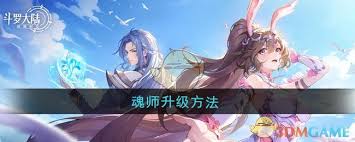斗罗大陆逆转时空：揭秘魂师快速升级的超燃秘籍