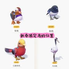 心动小镇潮流季探寻：喜鹊鸳鸯究竟藏身何处