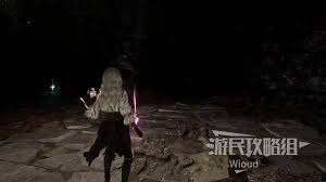 光与影：33号与45号远征队日志获取方法揭秘