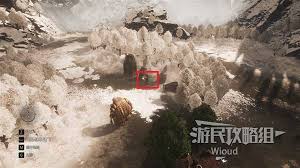 光与影33号远征队唱片克莱雅获取方法揭秘