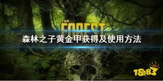 森林之子黄金甲作用揭秘：在游戏中究竟扮演何种重要角色