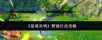星痕共鸣中野猪打法揭秘 助你轻松应对挑战