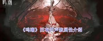 鸣潮2.1巨布偶声骸属性揭秘 深度解析其独特特质