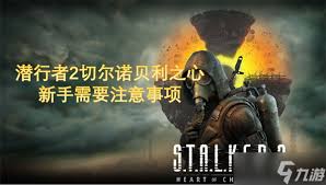 潜行者2异常现象机制全解析：深度探秘异常背后规则