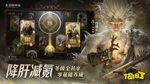 龙息神寂预言码生成：探索神秘且独特的生成之道