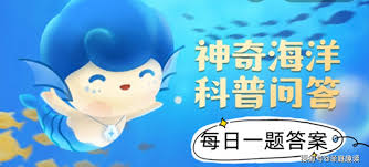 盐沼的正确说法是什么：深入探寻盐沼的准确称谓
